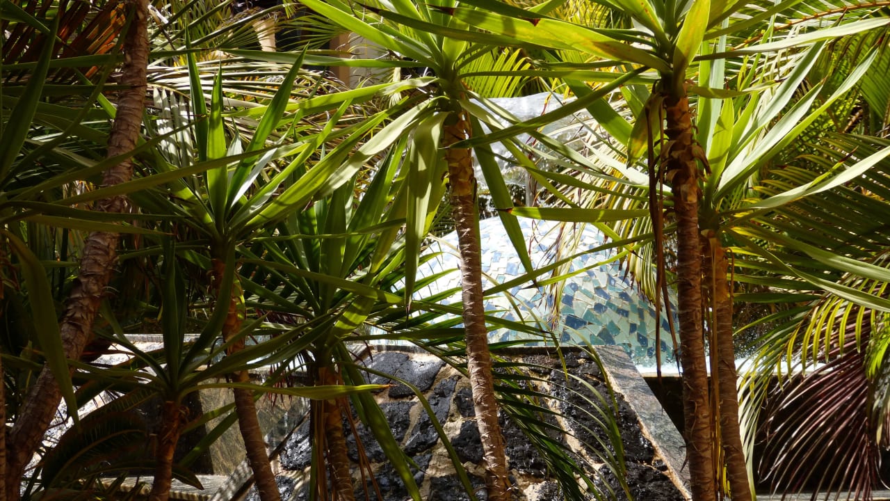 Springbrunnen in der Lobby Hotel Riu Funana