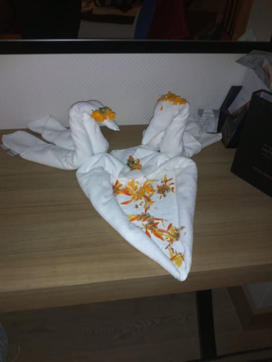 Zimmerkunst Hotel Delphin Imperial