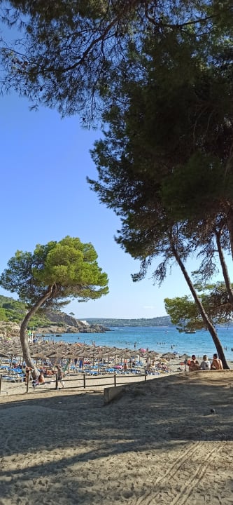 Strand Valentin Reina Paguera