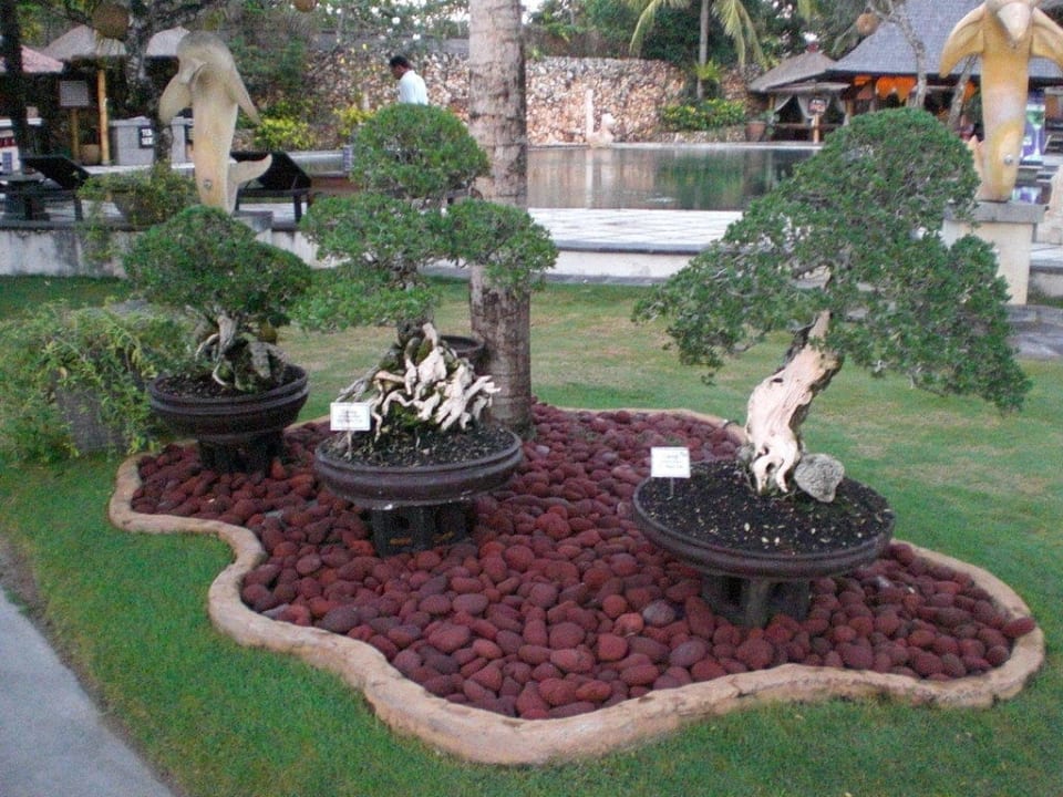 sehr schön geflegte Gartenanlage Hotel Keraton Jimbaran Resort