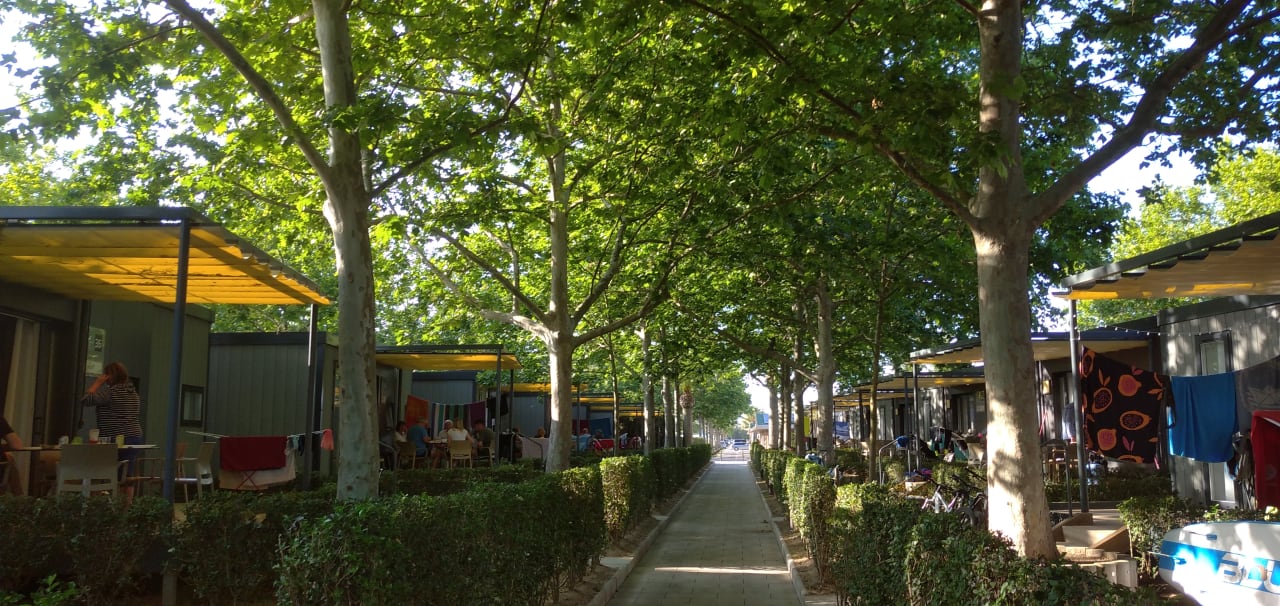 Außenansicht Camping Las Dunas
