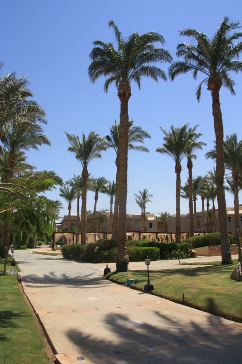 Garten Jaz Makadi Oasis Resort