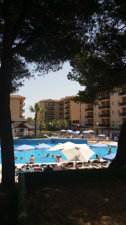 Pool Aparthotel Can Picafort Palace