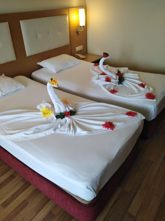 Zimmer Alaiye Resort & Spa