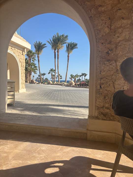 Zimmer Pickalbatros Citadel Resort