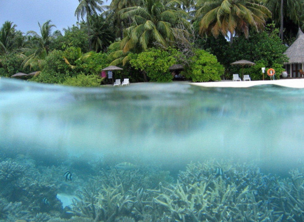 Hausriff Sun Siyam Vilu Reef