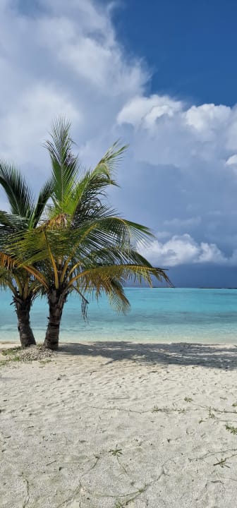 Strand Adaaran Select Meedhupparu Island Resort - Premium All Inclusive