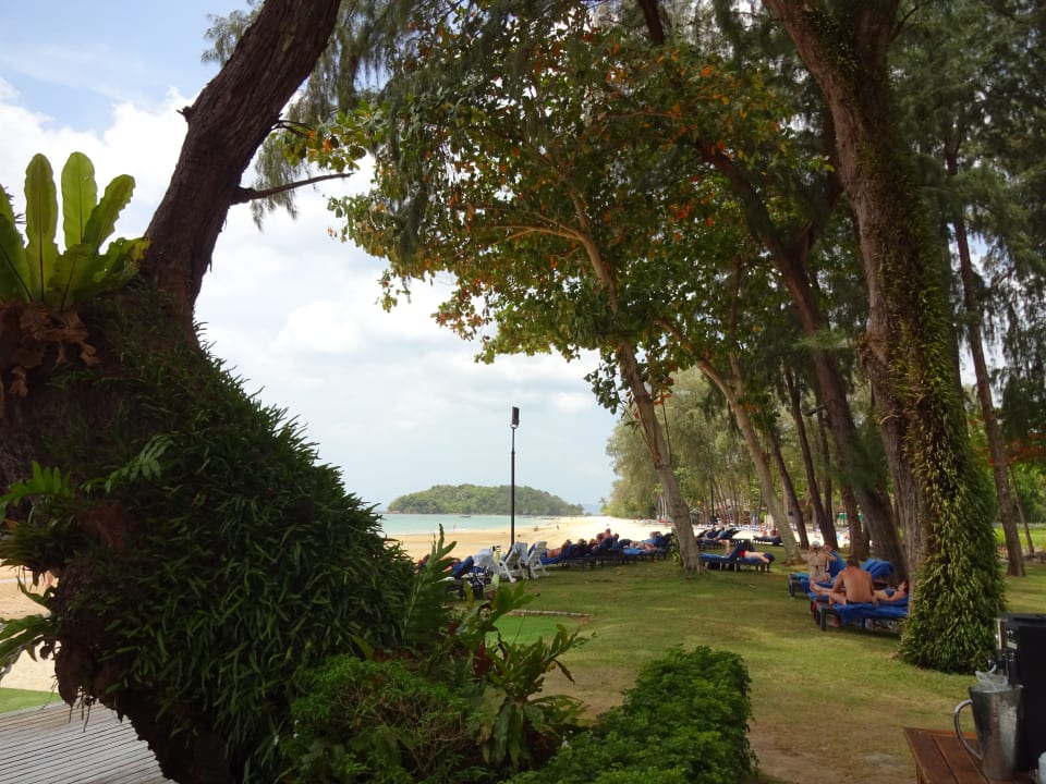 Gartenanlage Dusit Thani Krabi Beach Resort