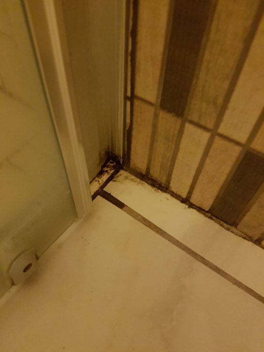 Sonstiges Golden Age