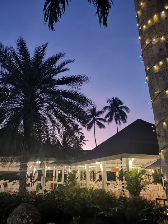 Gartenanlage Viva Wyndham Samaná