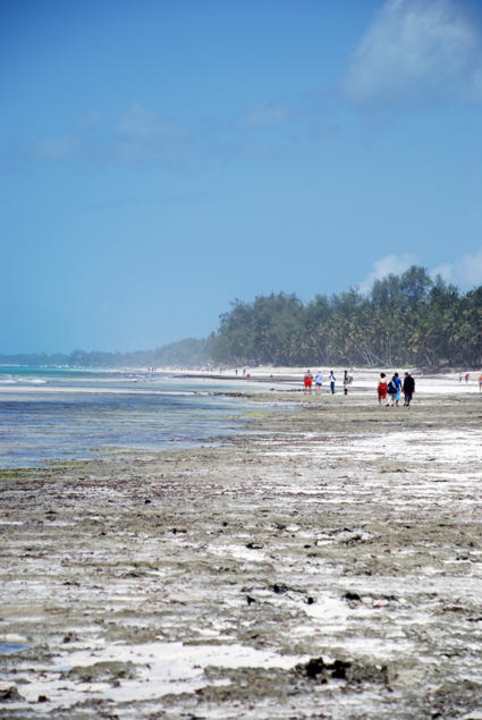 LTI Strand mit Ausblick auf den ehten Traumstrand Kaskazi Beach Resort