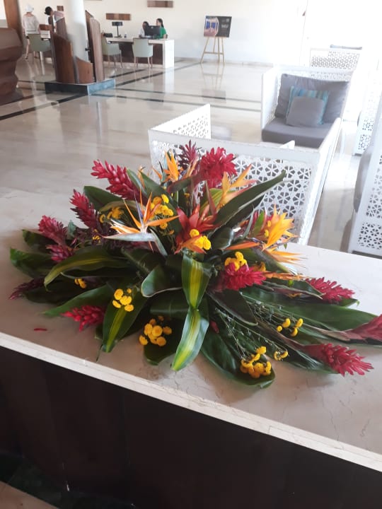 Sonstiges Hotel Grand Palladium Palace Resort, Spa & Casino