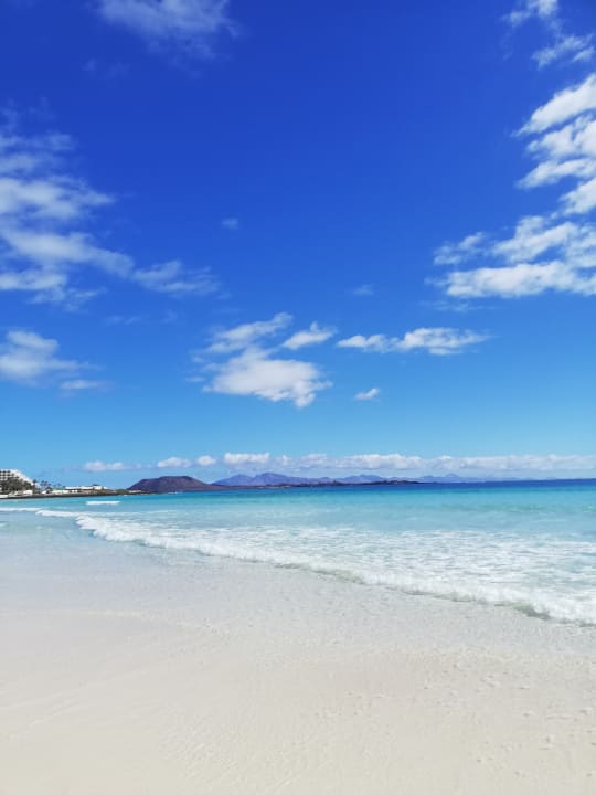 Strand Atlantic Garden Beach Mate