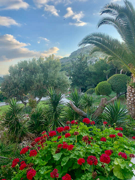Gartenanlage Hotel Kalithea Mare Palace