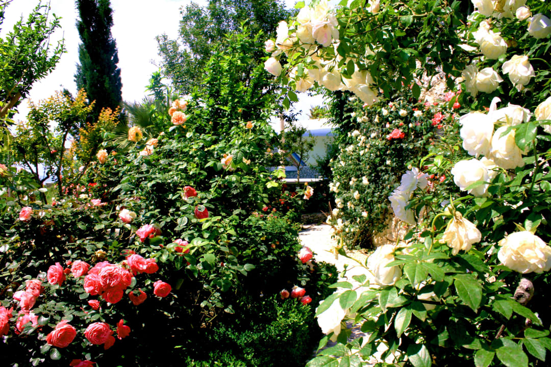 Gartenanlage Villa Margitta