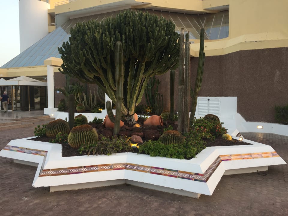 Sonstiges Hotel Riu Palace Jandia