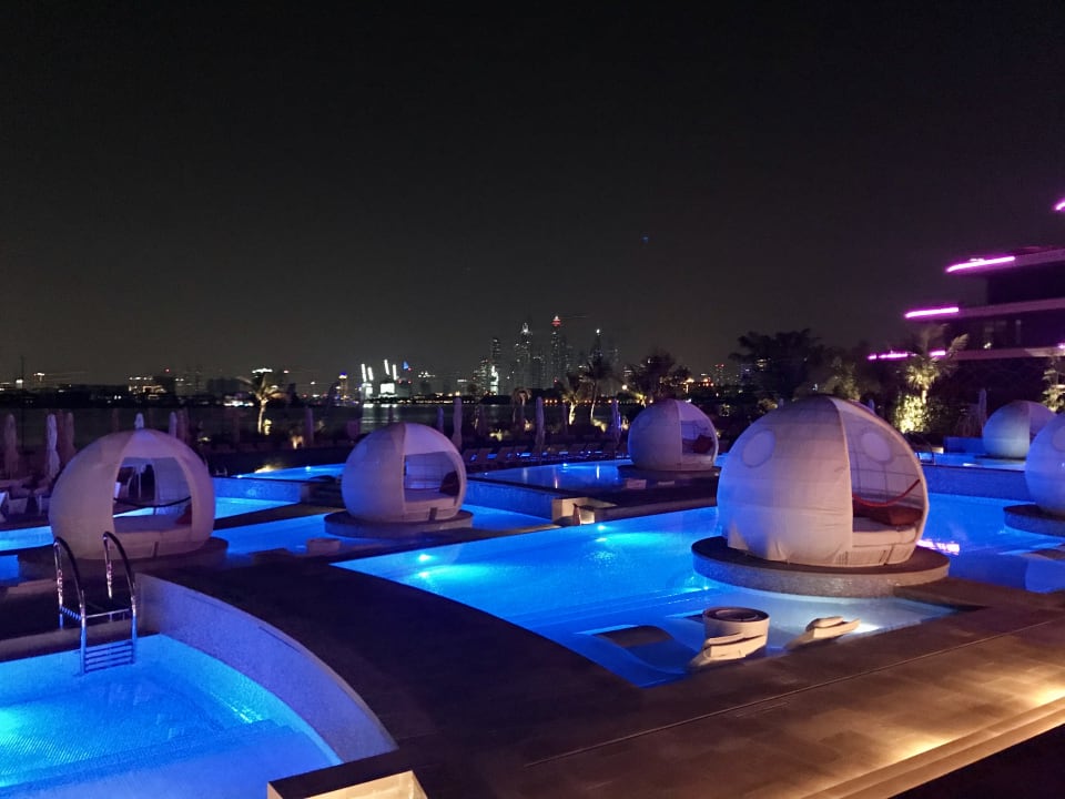 Pool W Dubai - The Palm