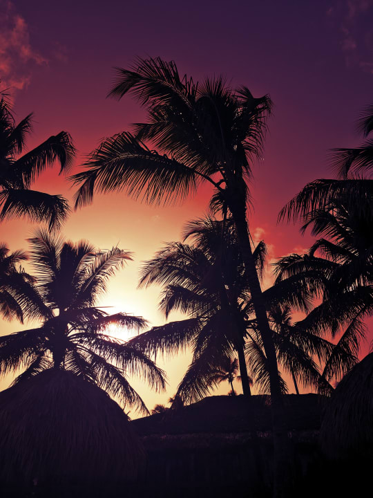Sonstiges Dreams Dominicus La Romana