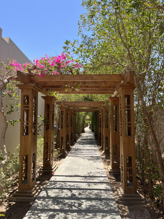 Gartenanlage JAZ Elite Casa del Mar Beach