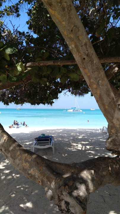 Strand Hotel The Mill Resort Suites Aruba