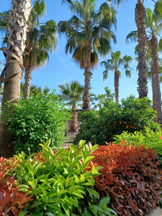 Gartenanlage Hane Family Resort