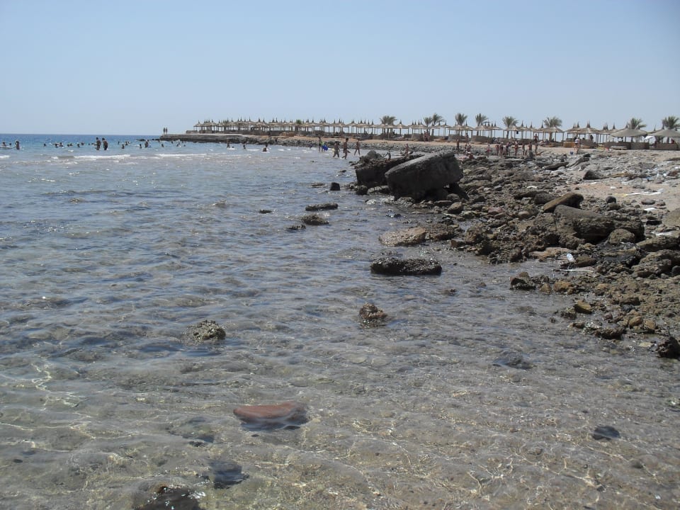 Aqua Vista Resort & Spa Pickalbatros Aqua Vista Resort - Hurghada