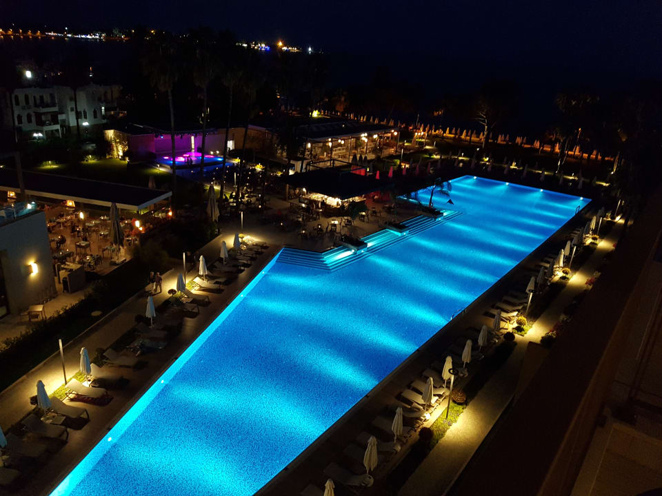 Pool Acanthus Cennet Barut Collection