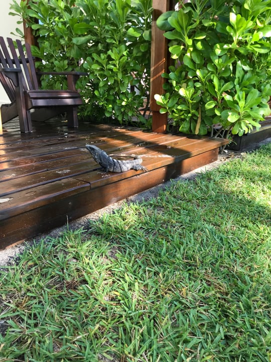 Gartenanlage Akumal Bay Beach & Wellness Resort