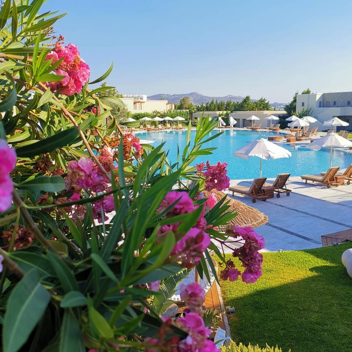 Pool SENTIDO Port Royal Villas & Spa