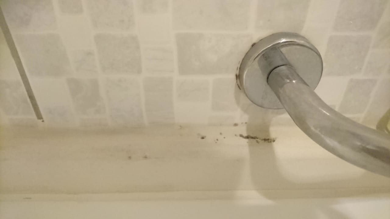 Schimmel im Bad Alba Queen Hotel