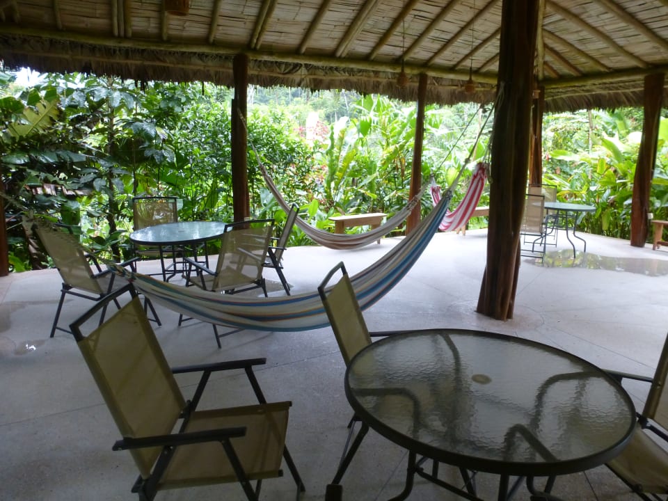 Sport & Freizeit Hakuna Matata Amazon  Lodge