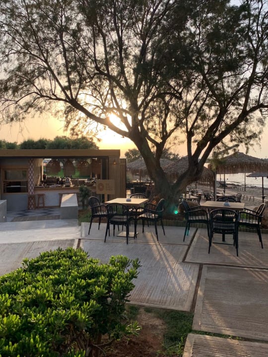 Gastro Phãea Cretan Malia