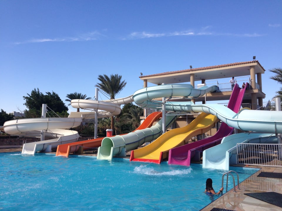 Sport & Freizeit Desert Rose