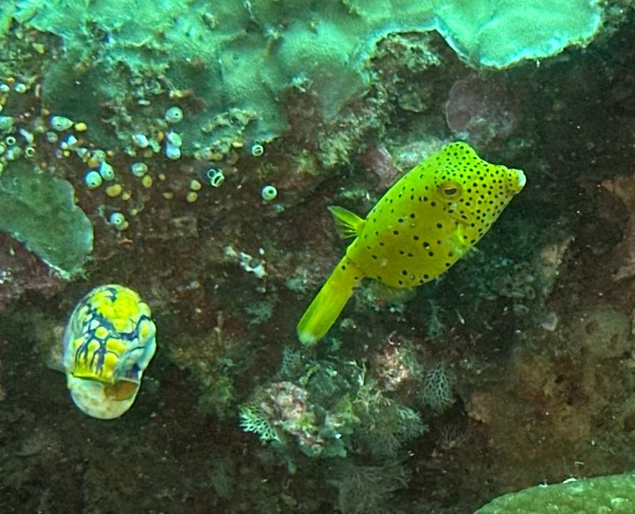 Sport & Freizeit Sali Bay Resort