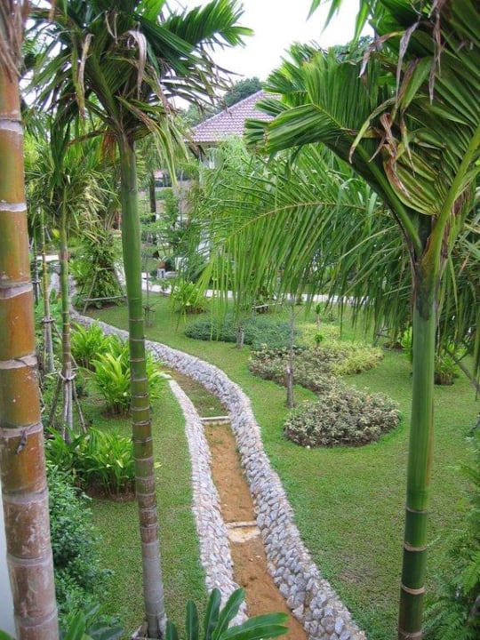 Aussicht von unserem Balkone Baan Khaolak Beach Resort