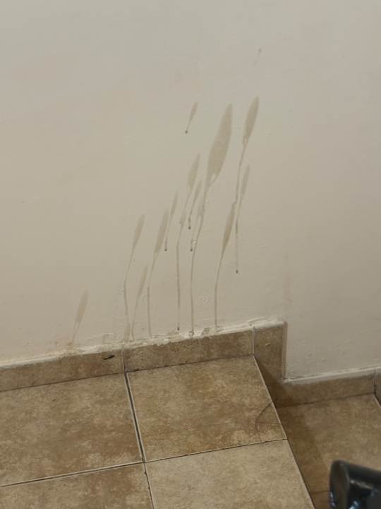 Zimmer Royal Park Hotel & Aqua park