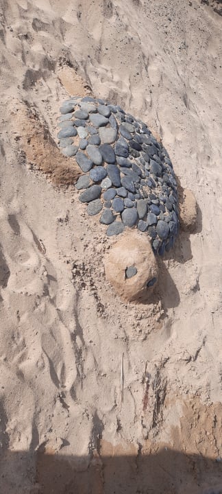 Strand SBH Costa Calma Beach Resort