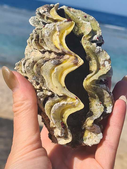 Strand Pickalbatros Villaggio Resort - Portofino