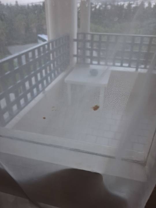 Zimmer Nahrawess Resort & Thalasso