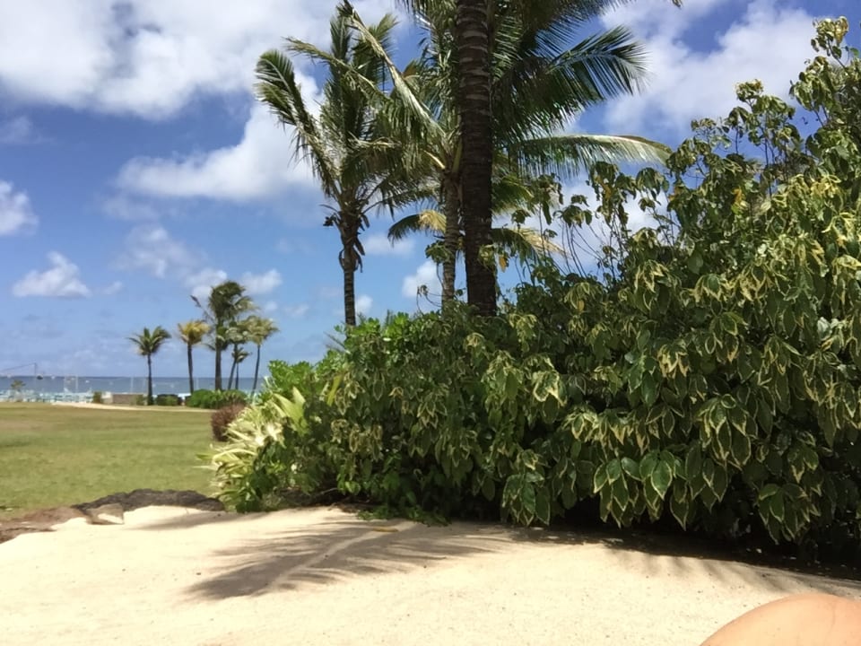 Strand Shanti Maurice Resort & Spa