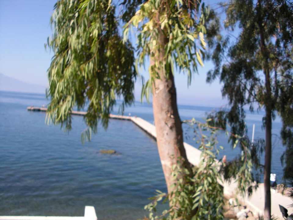 Steg Hotel Vista Hill