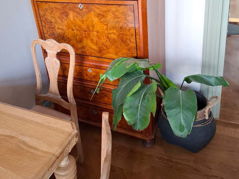 Gastro ARCHE Dwór Uphagena Gdańsk