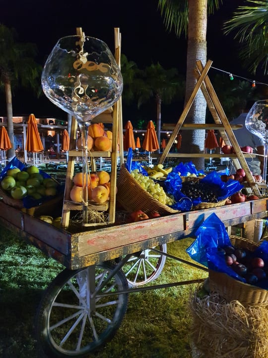 Gartenanlage Megasaray Club Belek