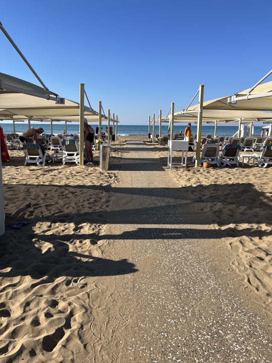 Strand TUI BLUE Xanthe