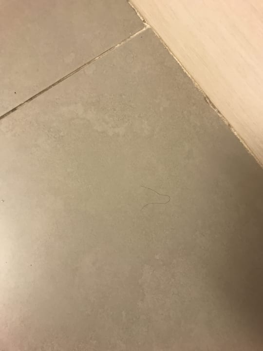 Zimmer blau punta reina