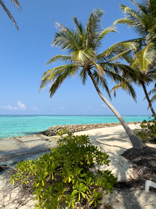 Strand Summer Island Maldives