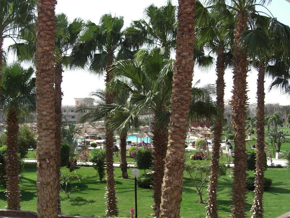 Ausblick Beach Albatros Resort