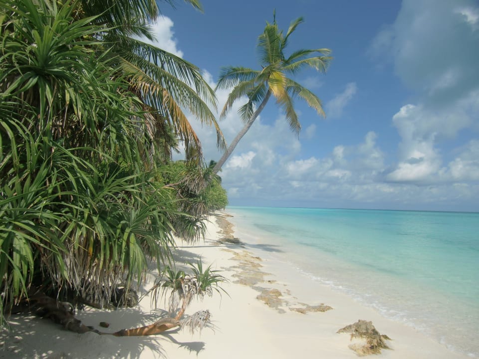 Richtung Sandbank Lagunenseite Kuramathi Maldives