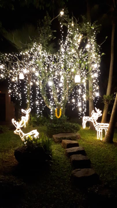 Gartenanlage Zazen Boutique Resort & Spa