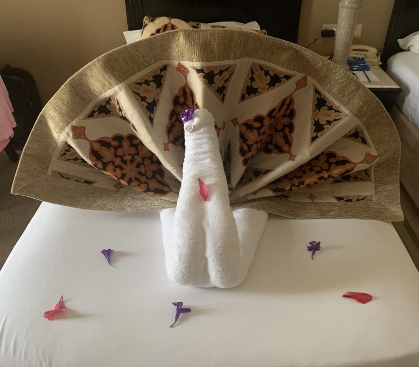 Zimmer Steigenberger Coraya Beach - Adults only